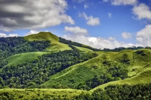 Hill Station Blessed With Evergreen Forests